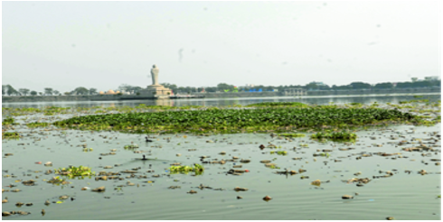Lake restoration and water body clean-up