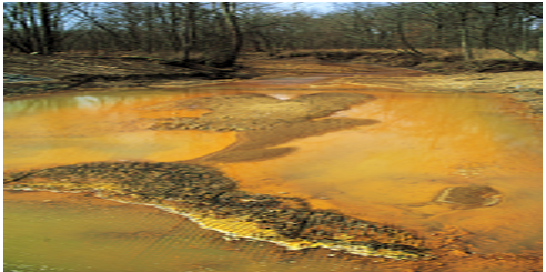 Acidic coal mine drainage in water body